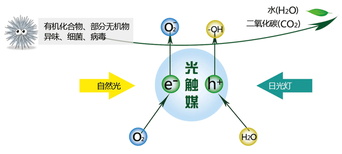 神奇的光触媒